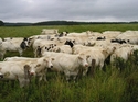 BBI2005_21.jpg